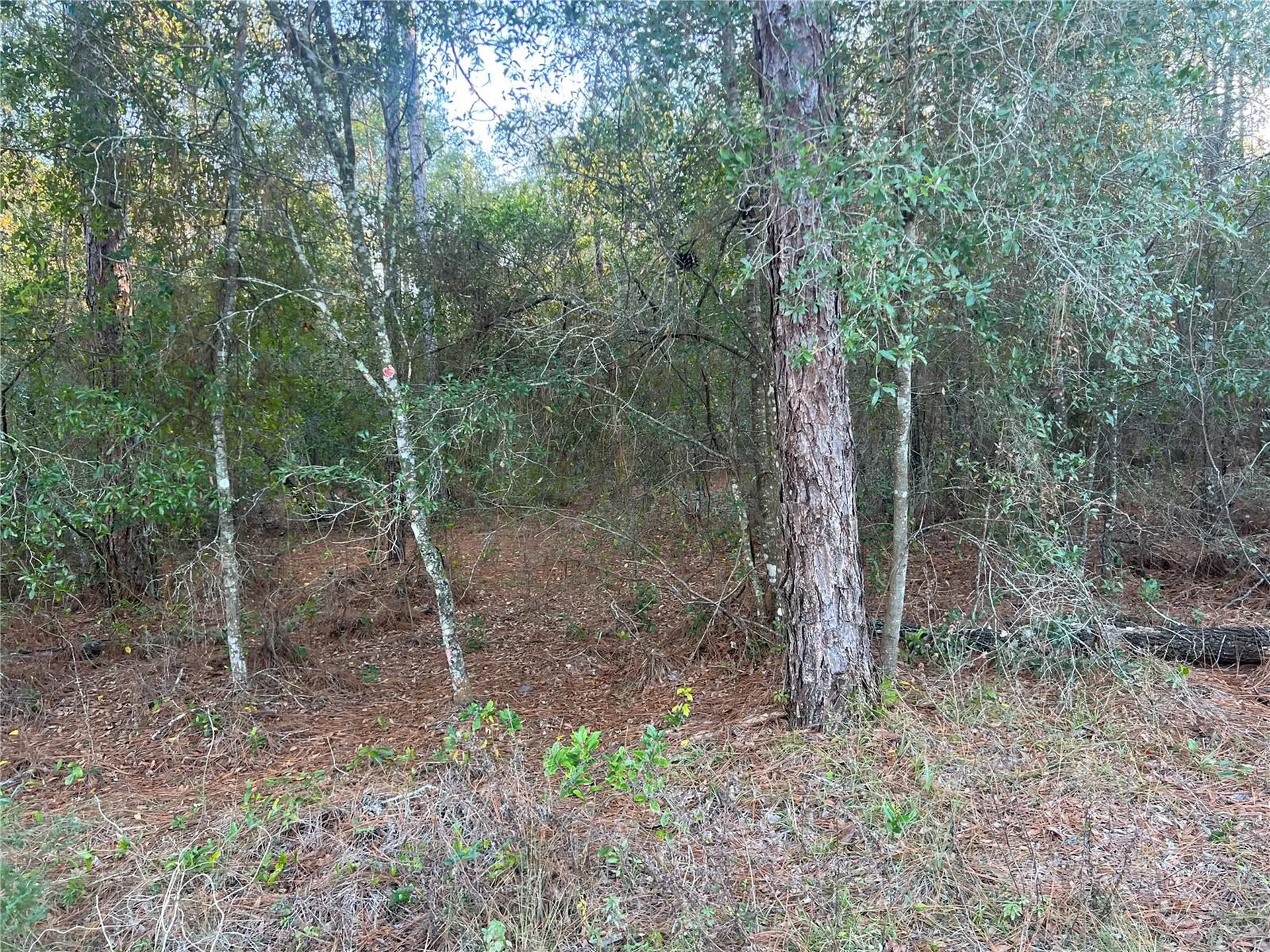 Lot 4+ Blair Avenue Brooksville FL 34604