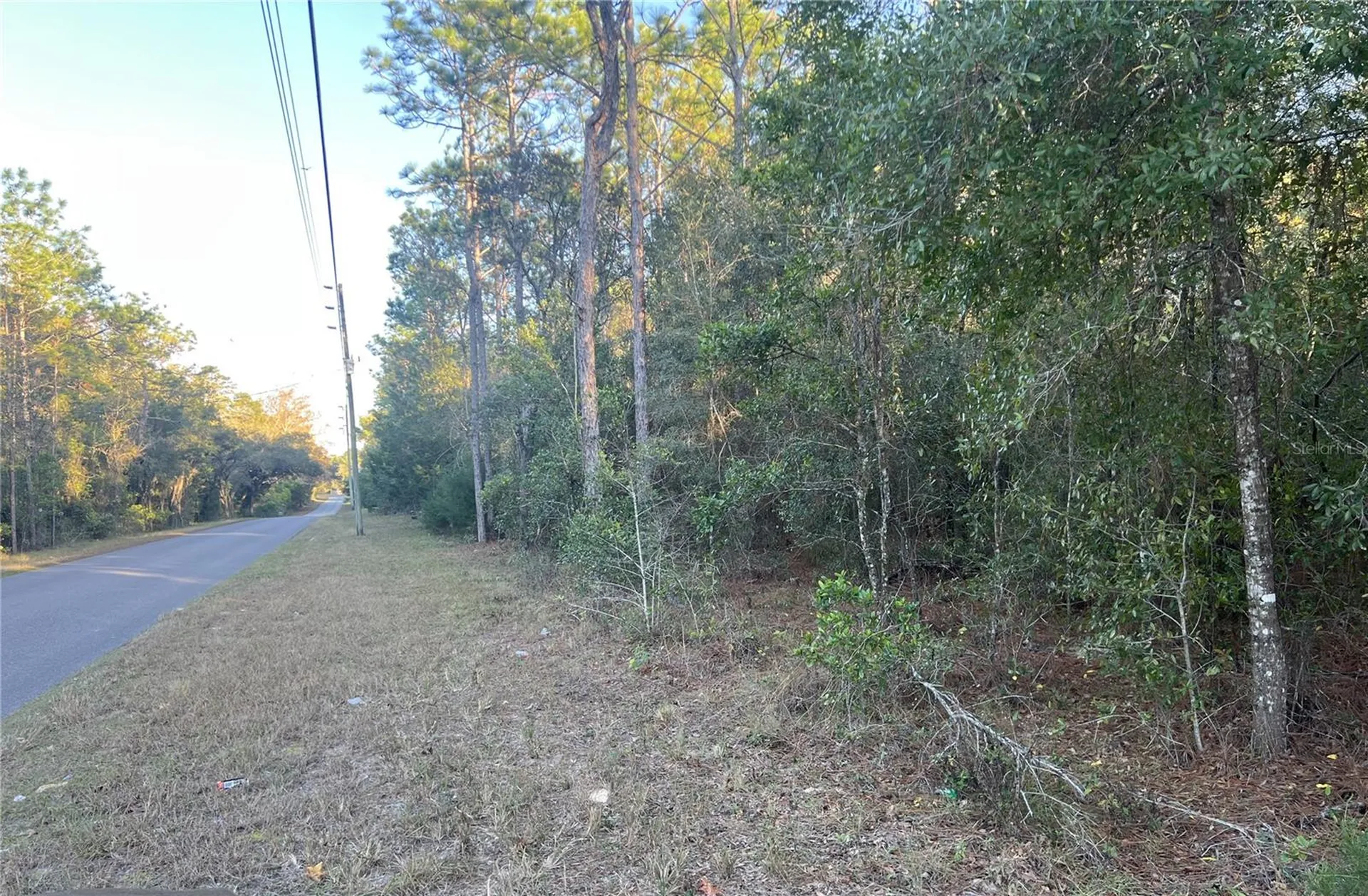 Lot 4+ Blair Avenue Brooksville FL 34604
