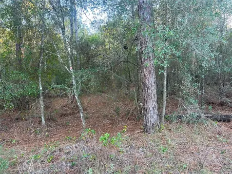 Lot 4+ Blair Avenue Brooksville FL 34604
