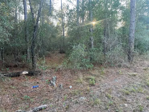 Lot 4+ Blair Avenue Brooksville FL 34604