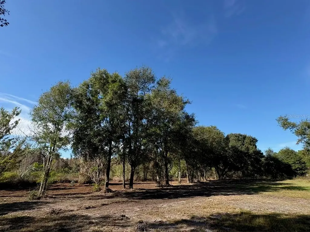 Hammock Loop Polk City FL 33868