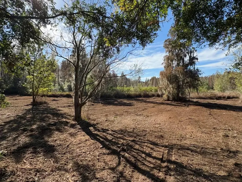 Hammock Loop Polk City FL 33868