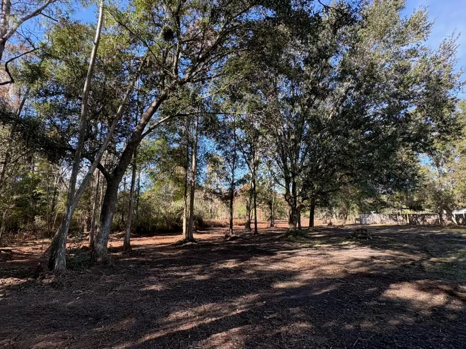 Hammock Loop Polk City FL 33868