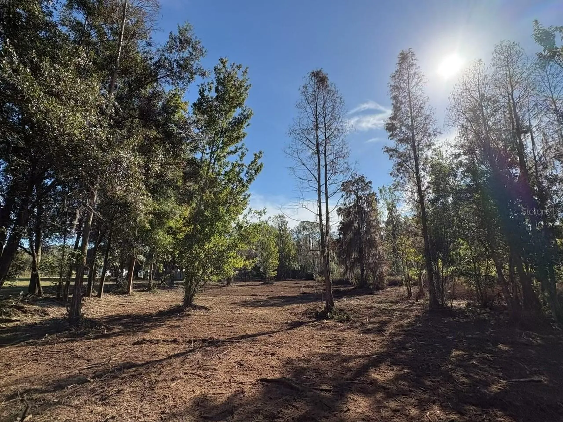 Hammock Loop Polk City FL 33868