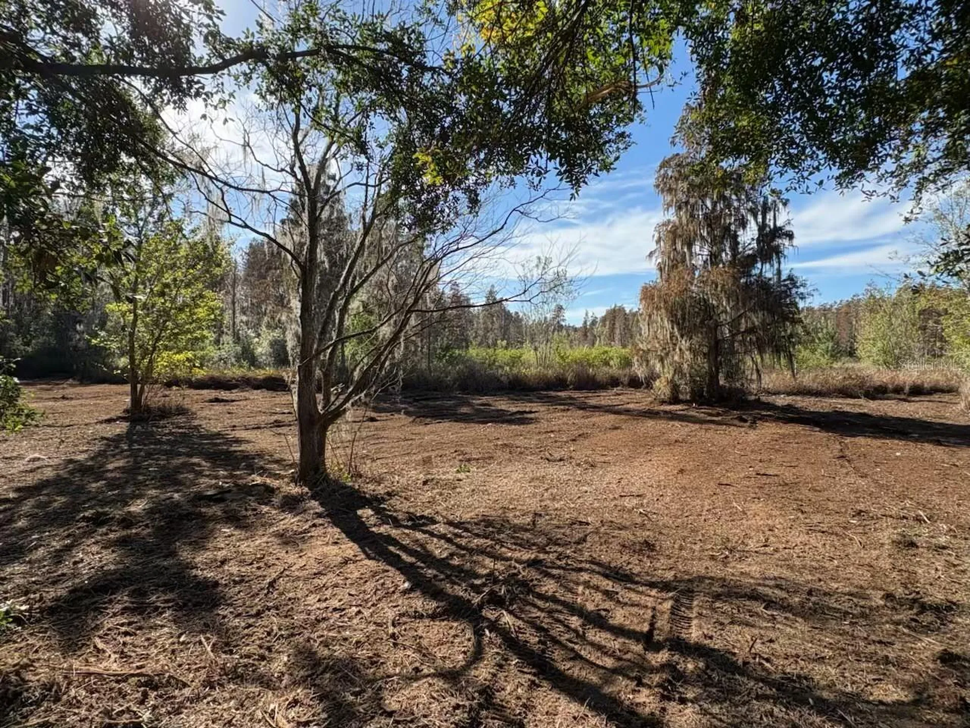 Hammock Loop Polk City FL 33868