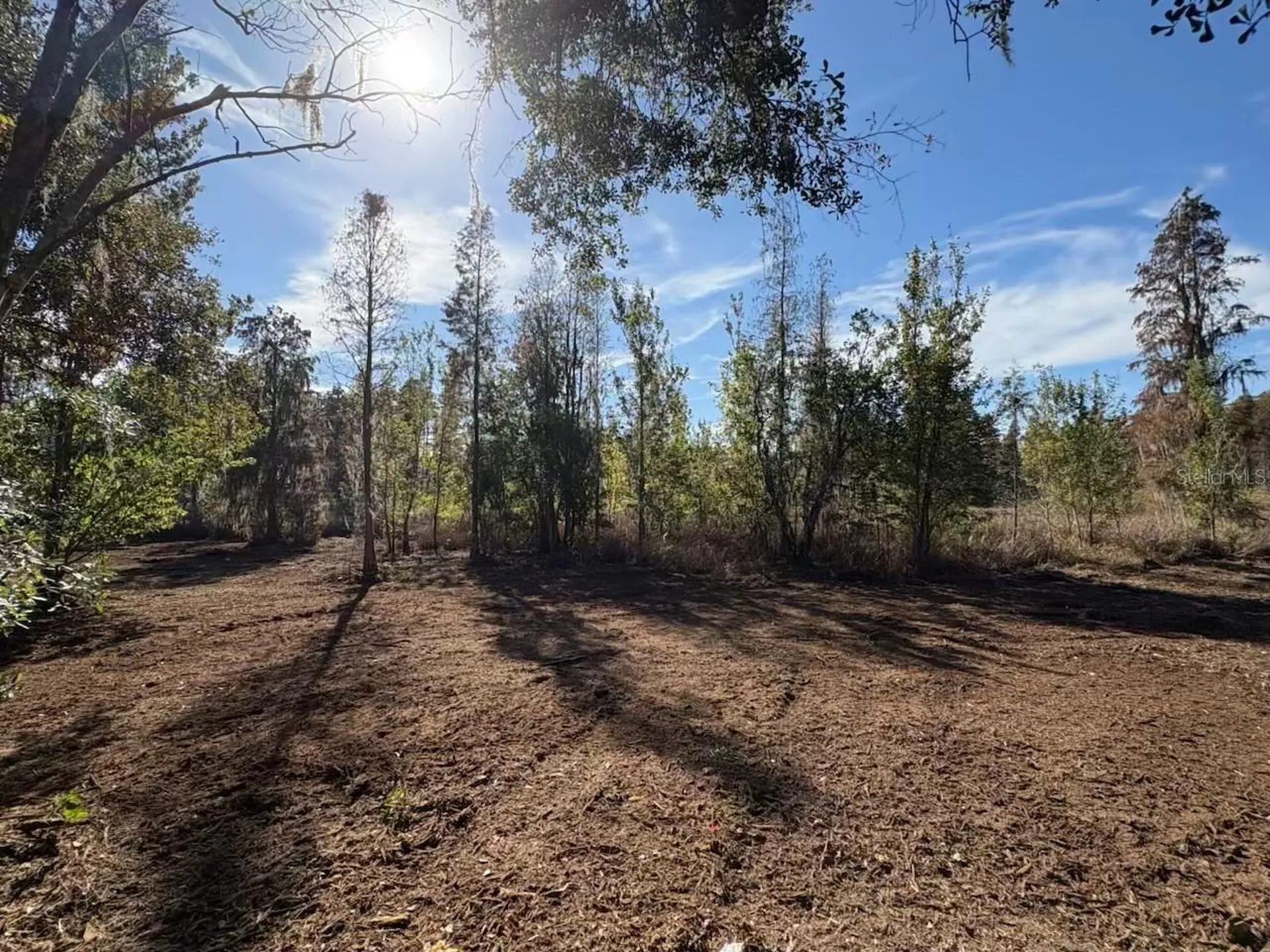 Hammock Loop Polk City FL 33868