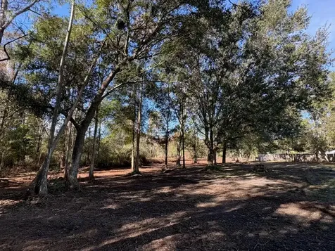 Hammock Loop Polk City FL 33868