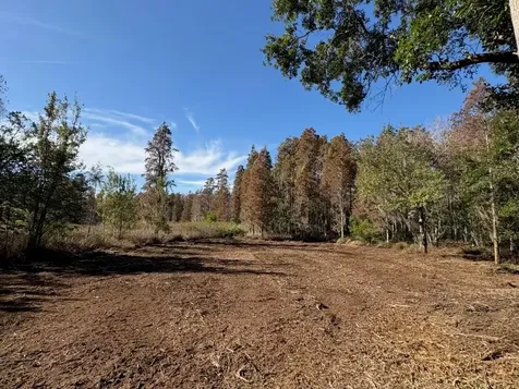 Hammock Loop Polk City FL 33868