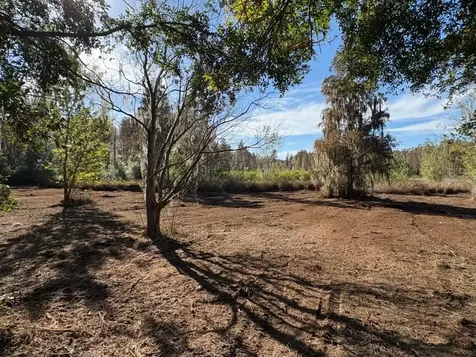 Hammock Loop Polk City FL 33868