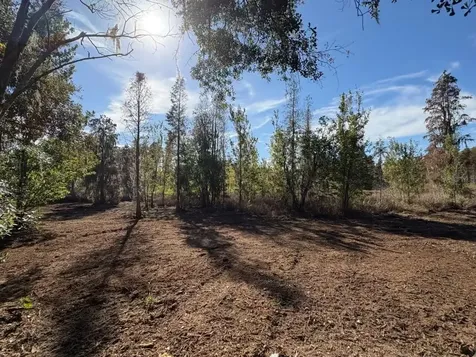 Hammock Loop Polk City FL 33868