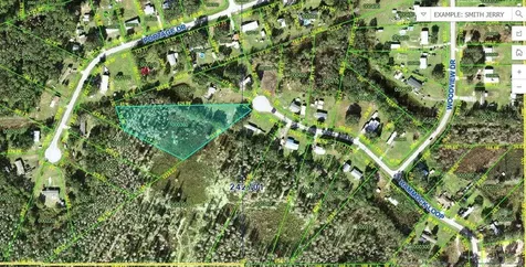 Hammock Loop Polk City FL 33868