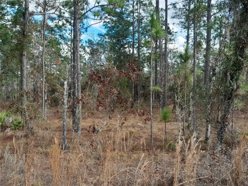 Tbd NE 150th Avenue Williston FL 32696