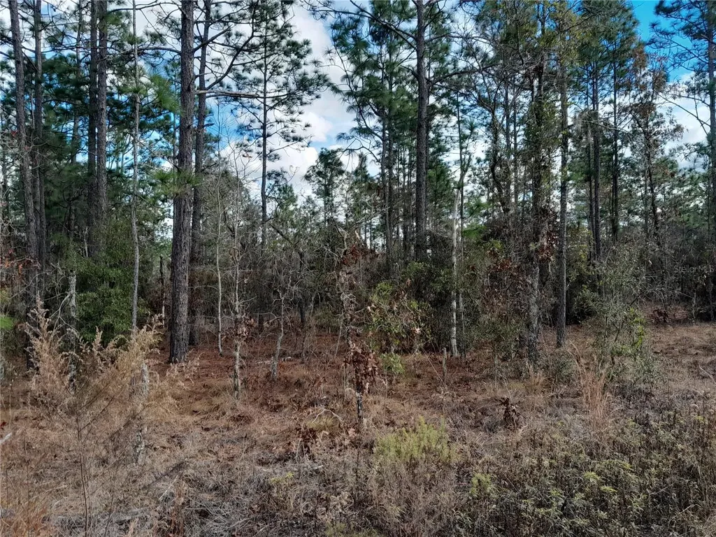 Tbd NE 150th Avenue Williston FL 32696