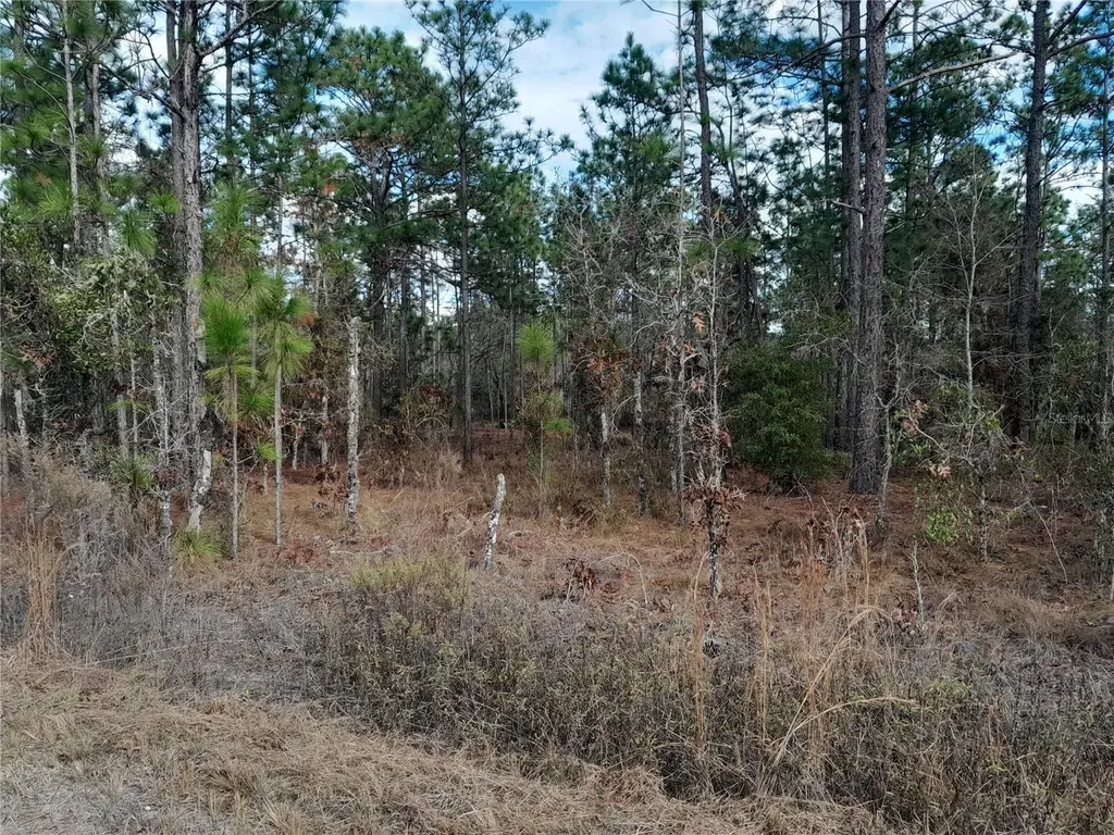 Tbd NE 150th Avenue Williston FL 32696