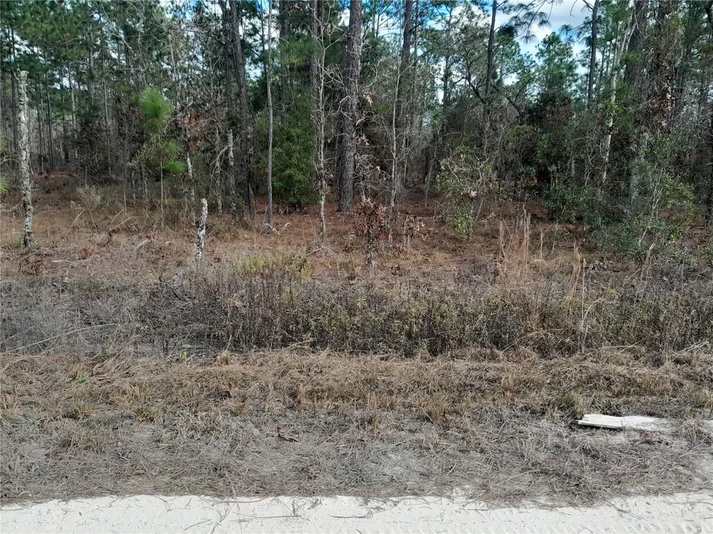 Tbd NE 150th Avenue Williston FL 32696