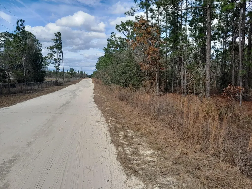 Tbd NE 150th Avenue Williston FL 32696