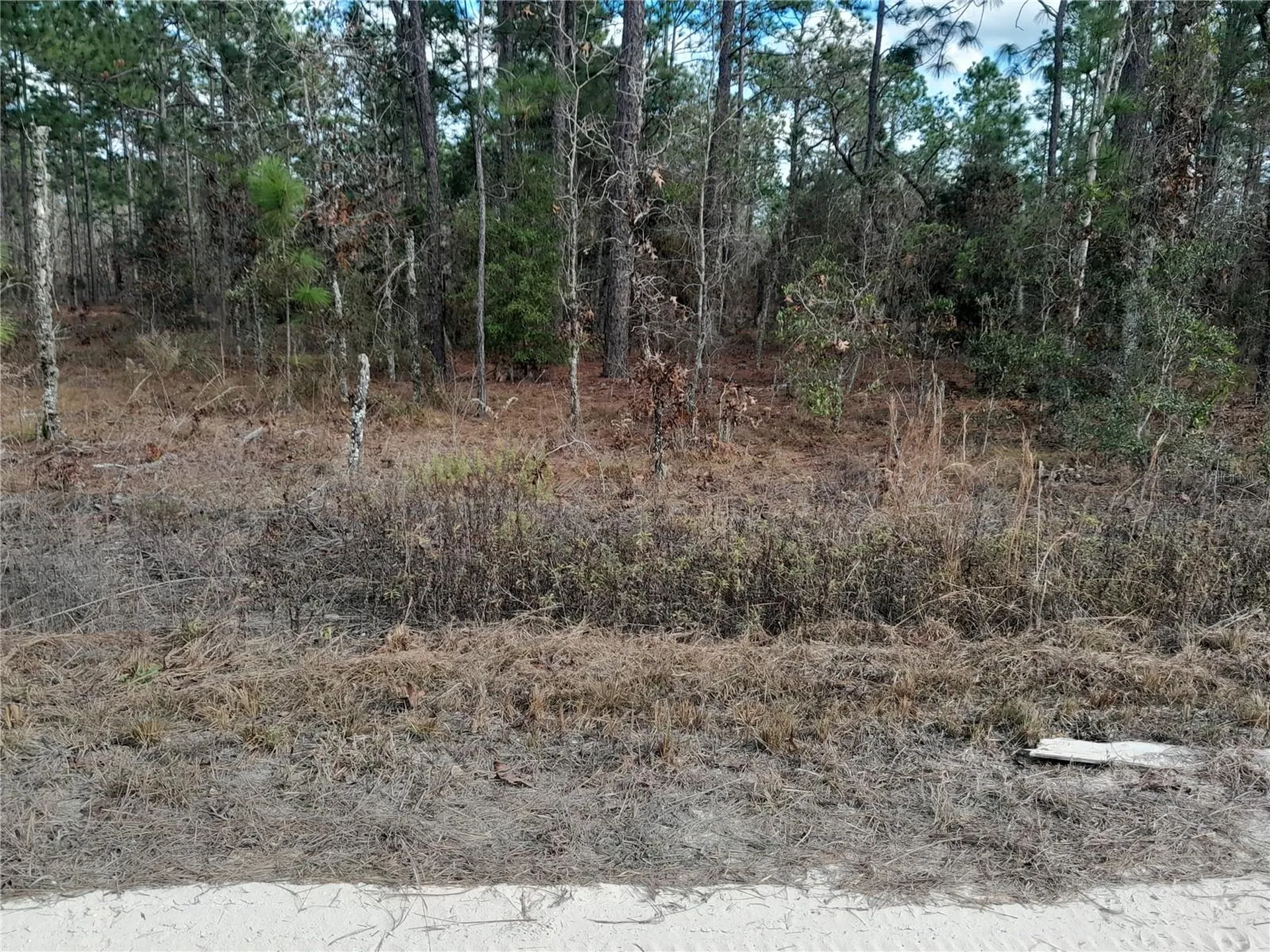 Tbd NE 150th Avenue Williston FL 32696