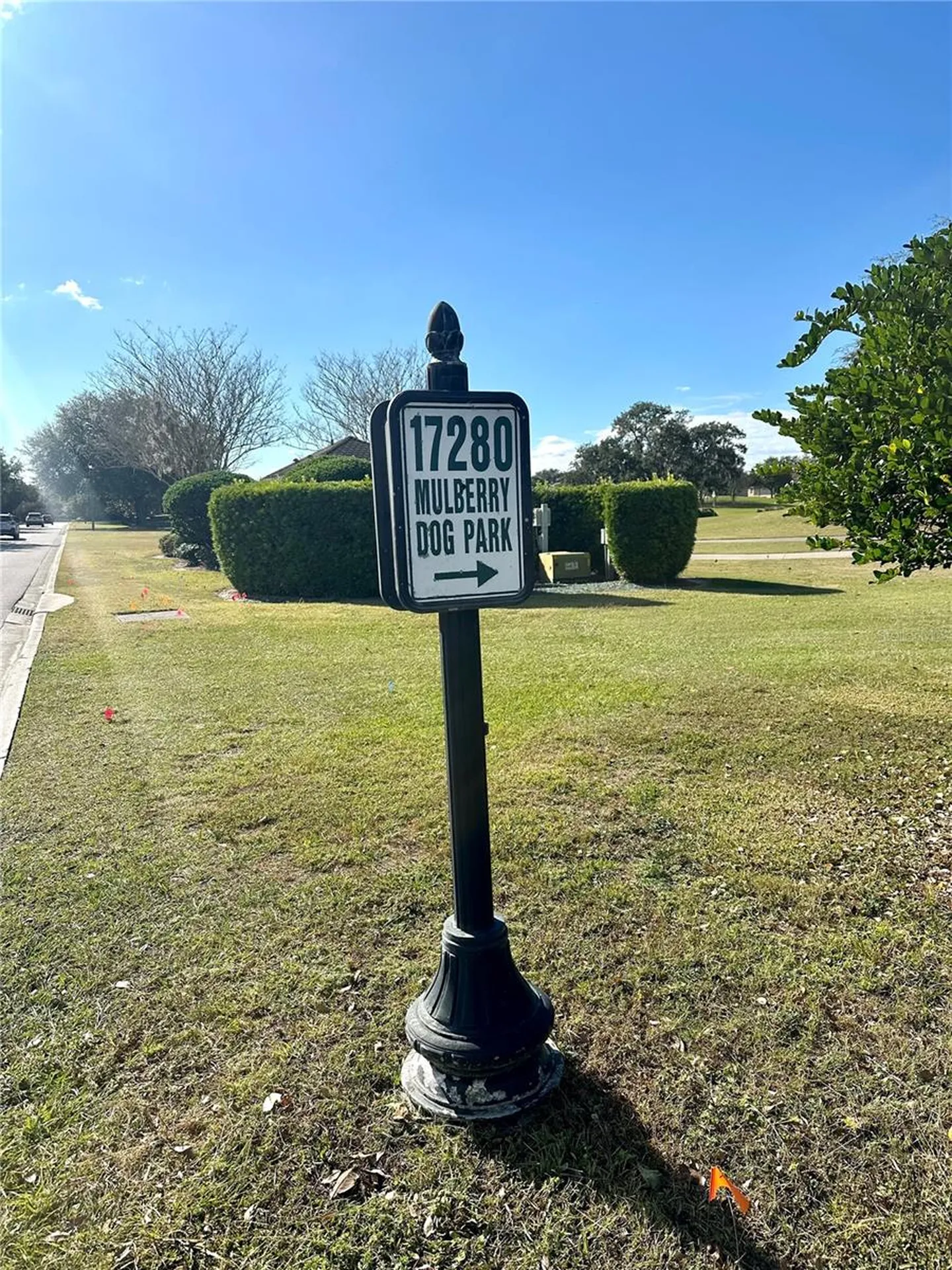 17766 SE 91st Poplar Terrace The Villages FL 32162