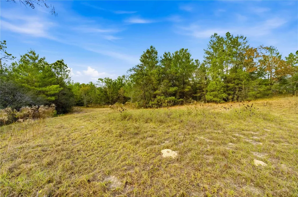 0 Backwoods Way Brooksville FL 34614