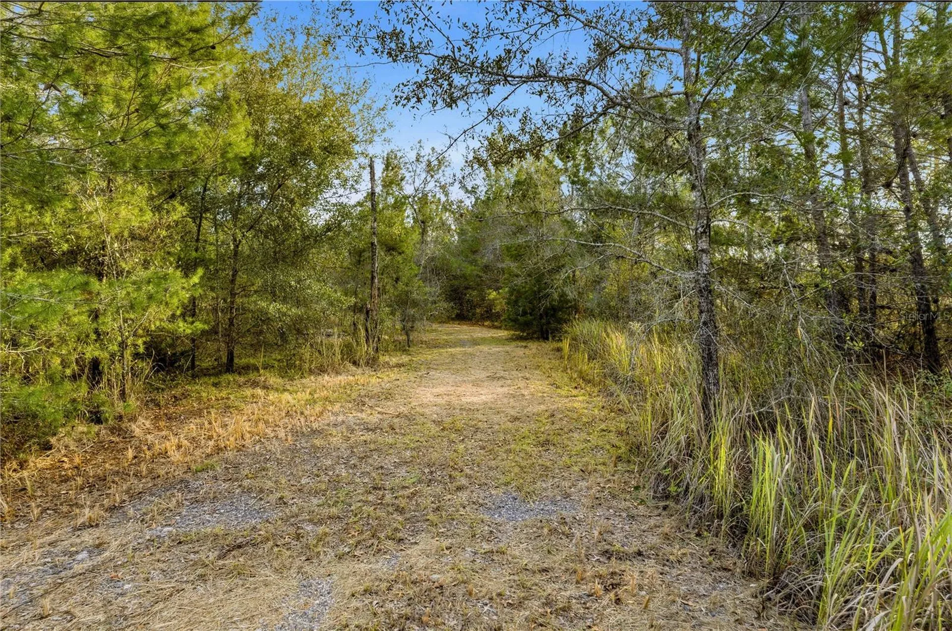 0 Backwoods Way Brooksville FL 34614