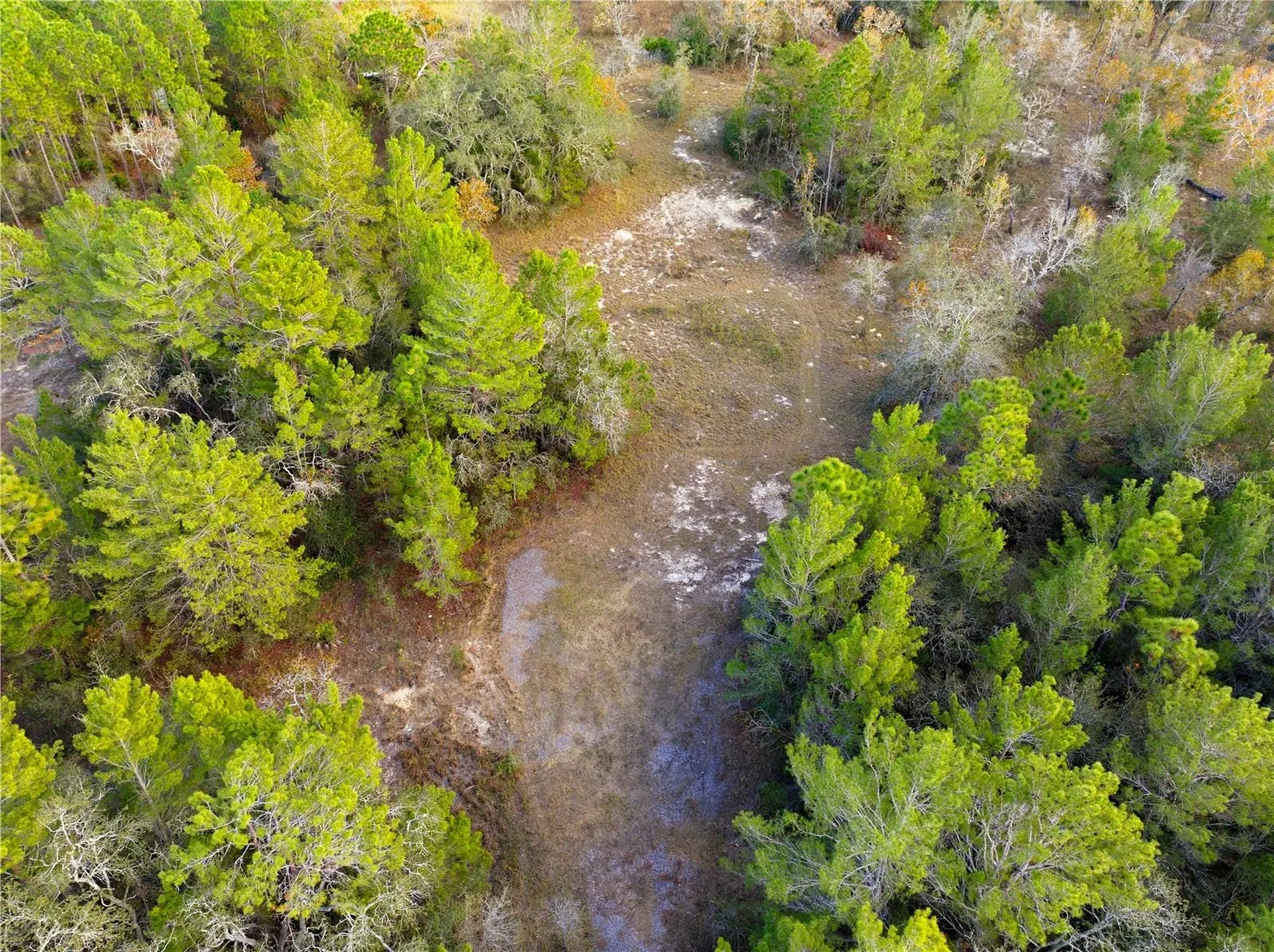 0 Backwoods Way Brooksville FL 34614