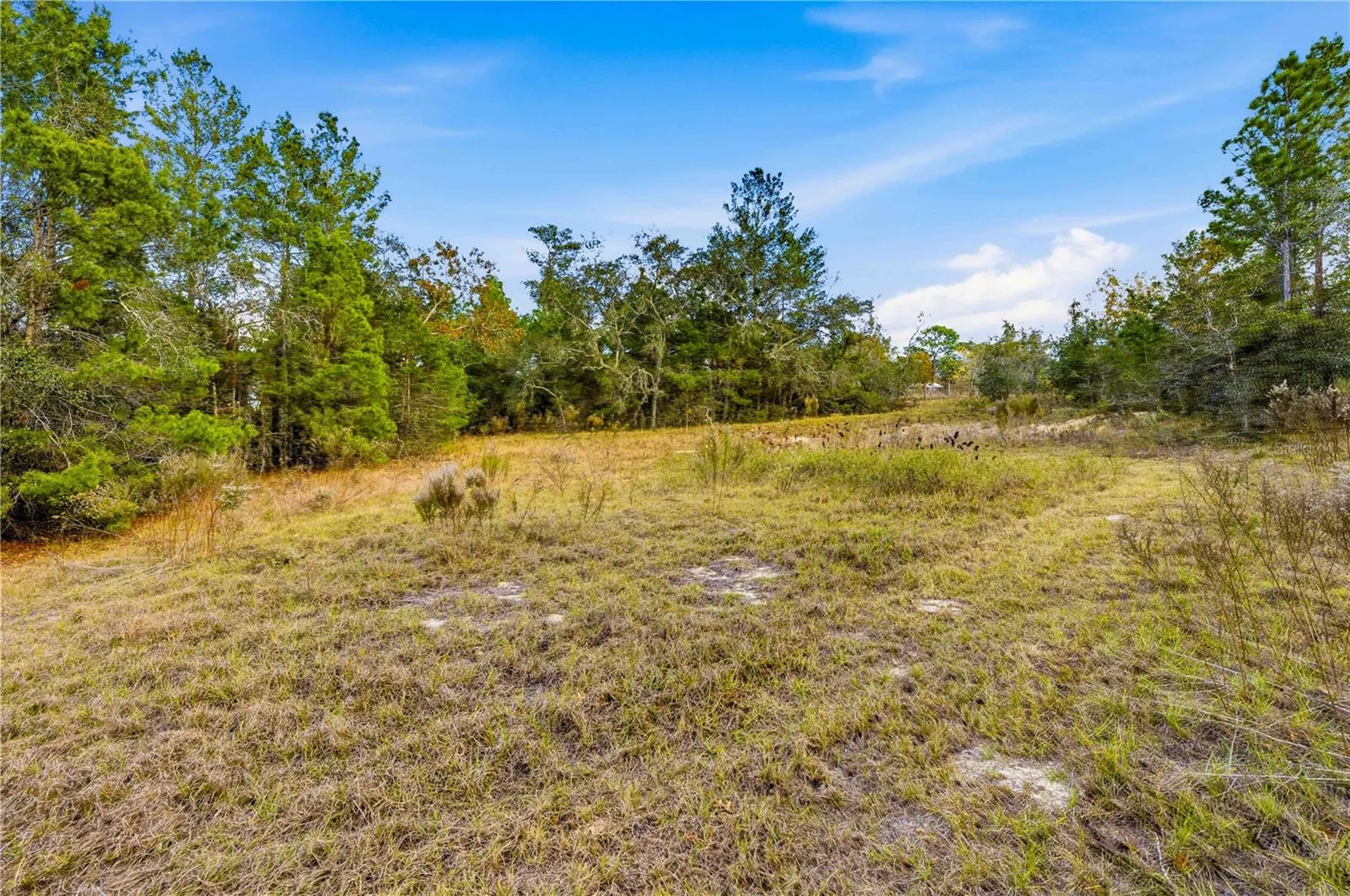 0 Backwoods Way Brooksville FL 34614