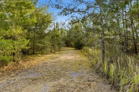0 Backwoods Way Brooksville FL 34614