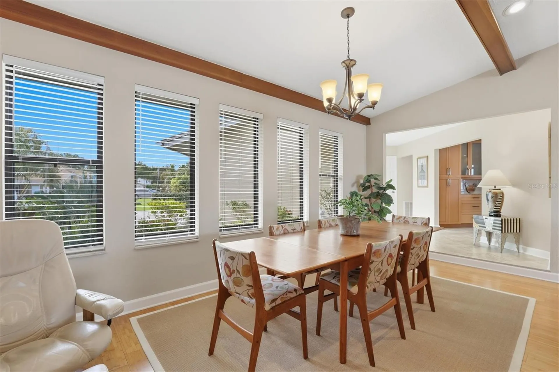 66 N Canal Drive Palm Harbor FL 34684