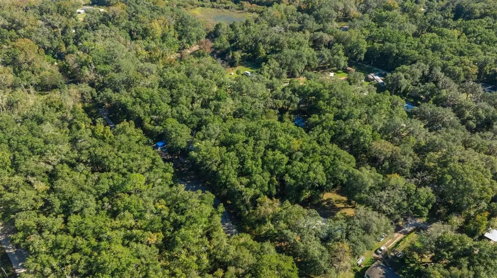 0 NE 164th Lots 53 54 55 Lane Citra FL 32113