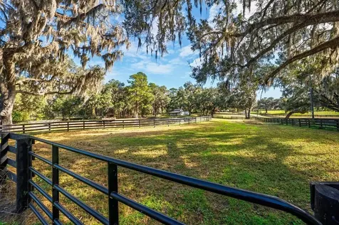8583 NW 130th Street Reddick FL 32686