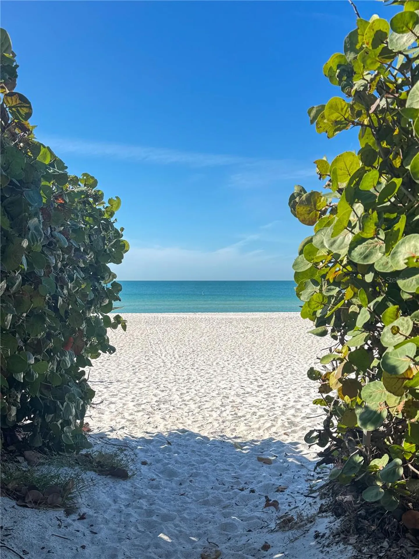 213 71st Street Holmes Beach FL 34217