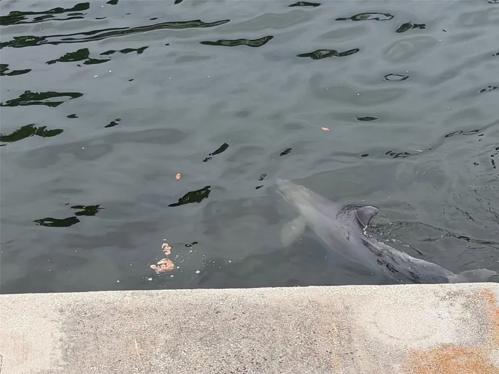 6432 Driftwood Drive Hudson FL 34667