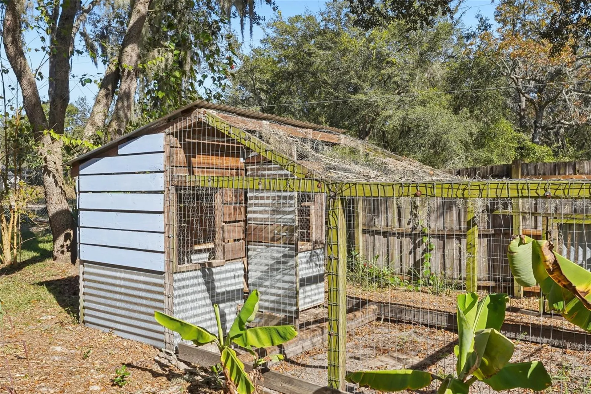 4542 Lemon Street Lady Lake FL 32159