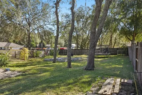 4542 Lemon Street Lady Lake FL 32159