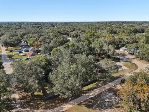 4542 Lemon Street Lady Lake FL 32159