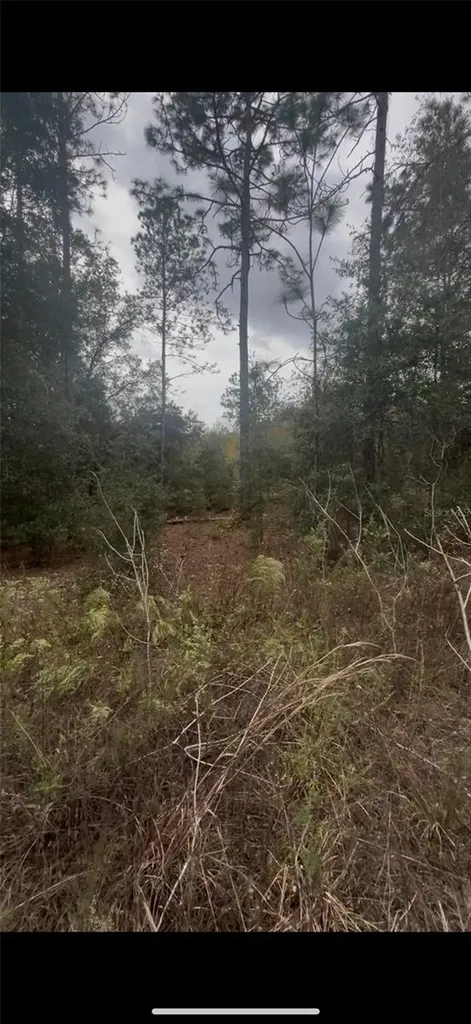 0 SW 21 Place Ocala FL 34481