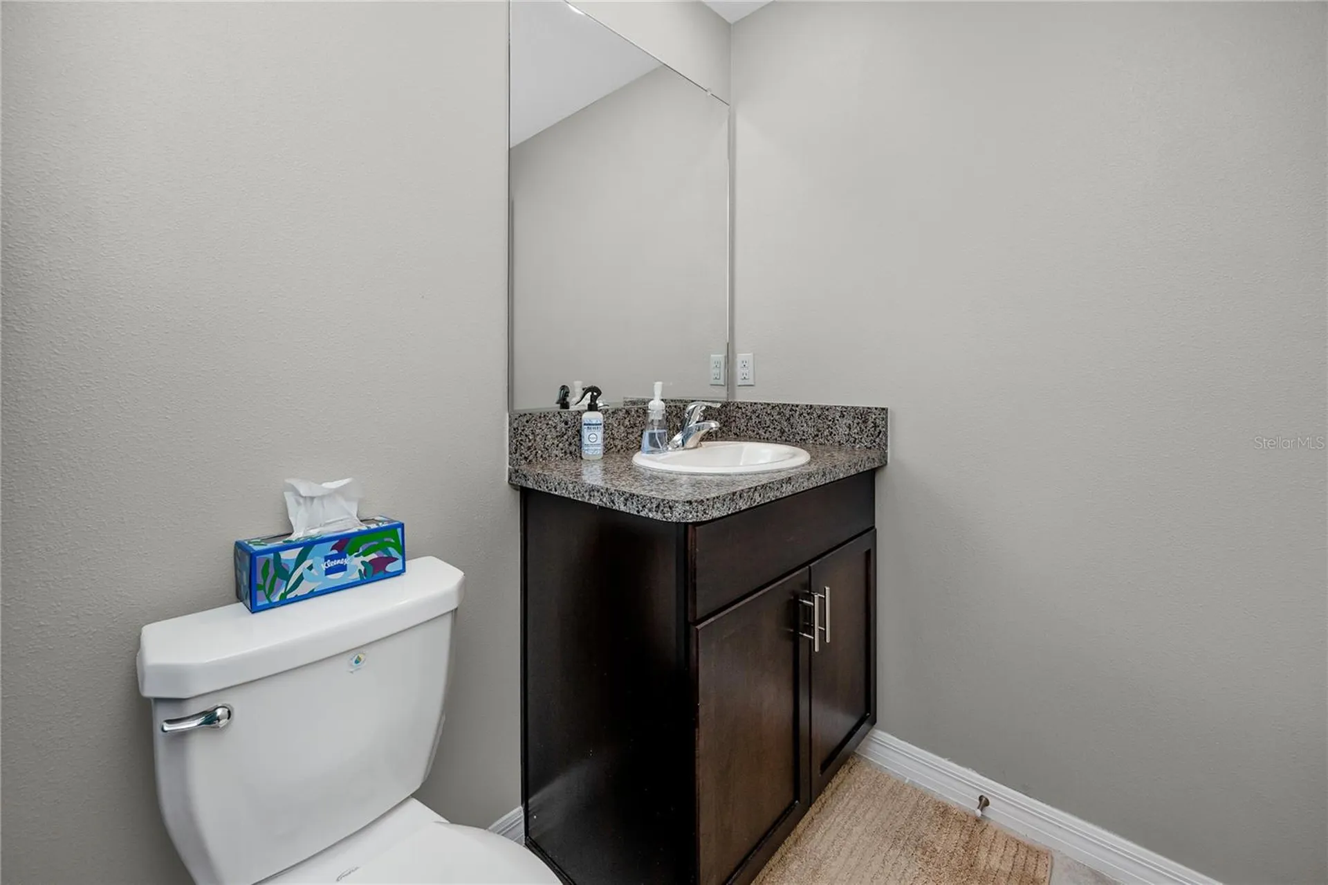 16654 Carlton Pond Street Wimauma FL 33598