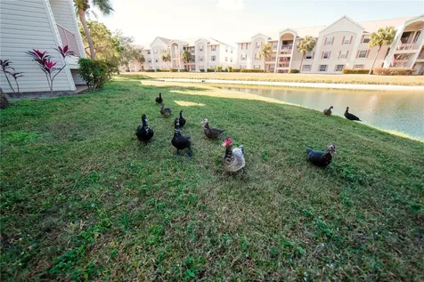 1771 Four Mile Cove Parkway Cape Coral FL 33990