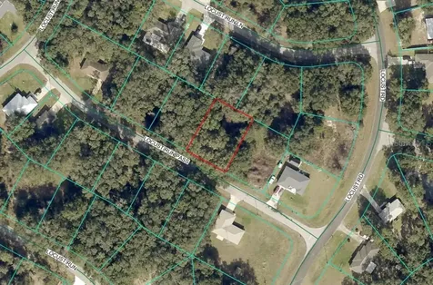 Locust Run Pass Ocala FL 34472