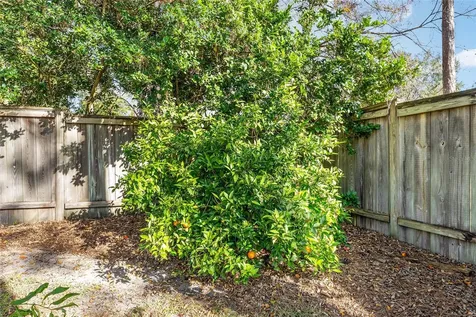 6931 SW 84th Drive Gainesville FL 32608