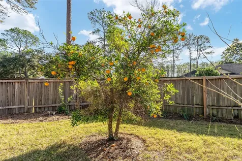 6931 SW 84th Drive Gainesville FL 32608
