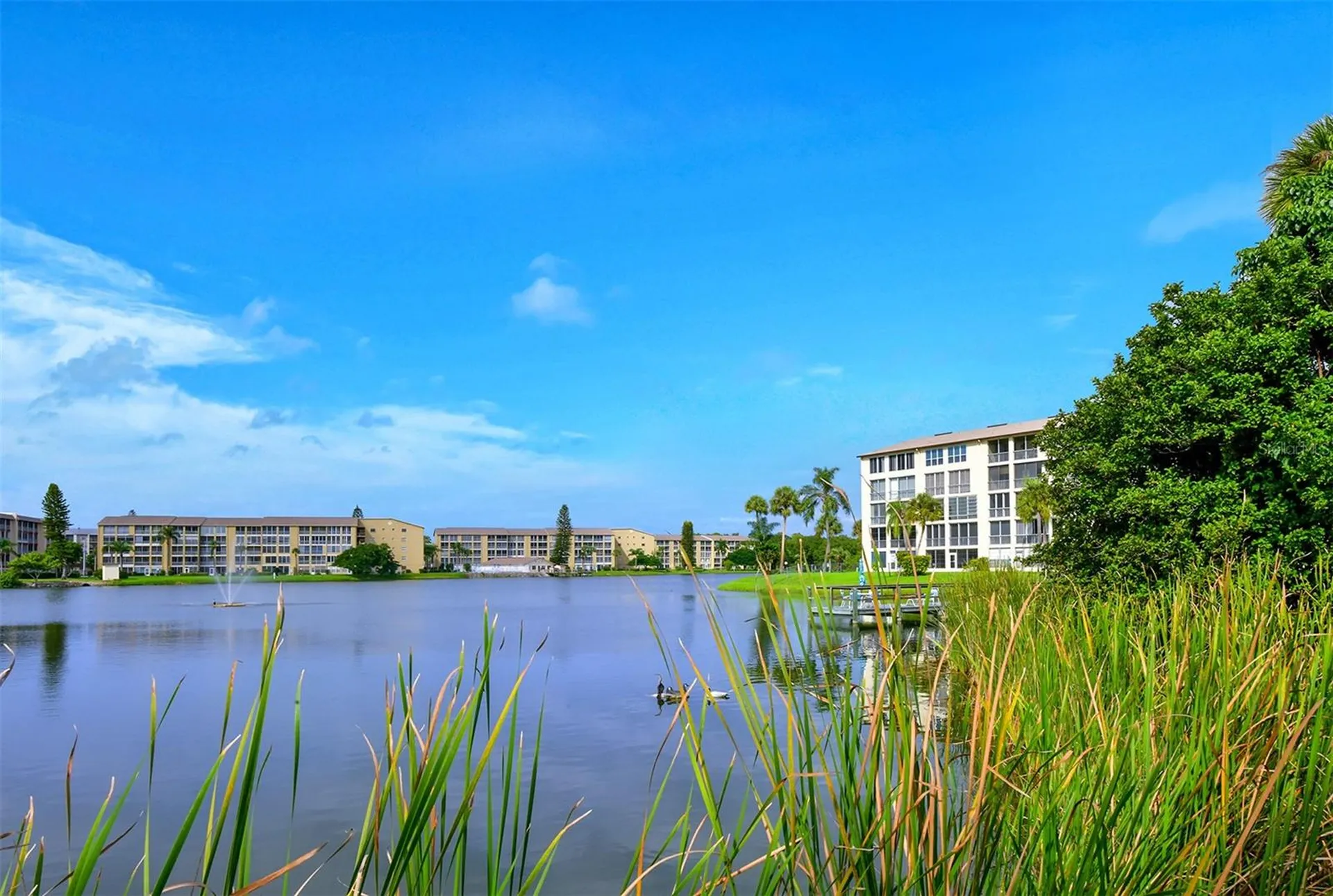 3647 Lake Bayshore Drive Bradenton FL 34205