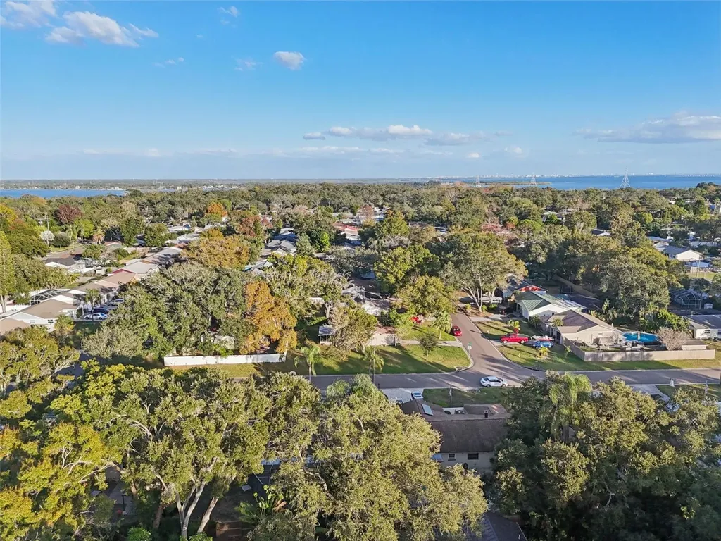 2195 Glen Drive Safety Harbor FL 34695