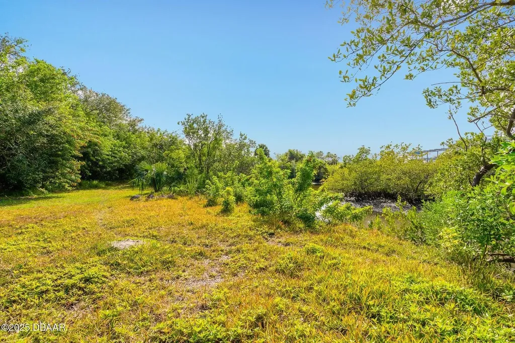4770 S Peninsula Drive Ponce Inlet FL 32127
