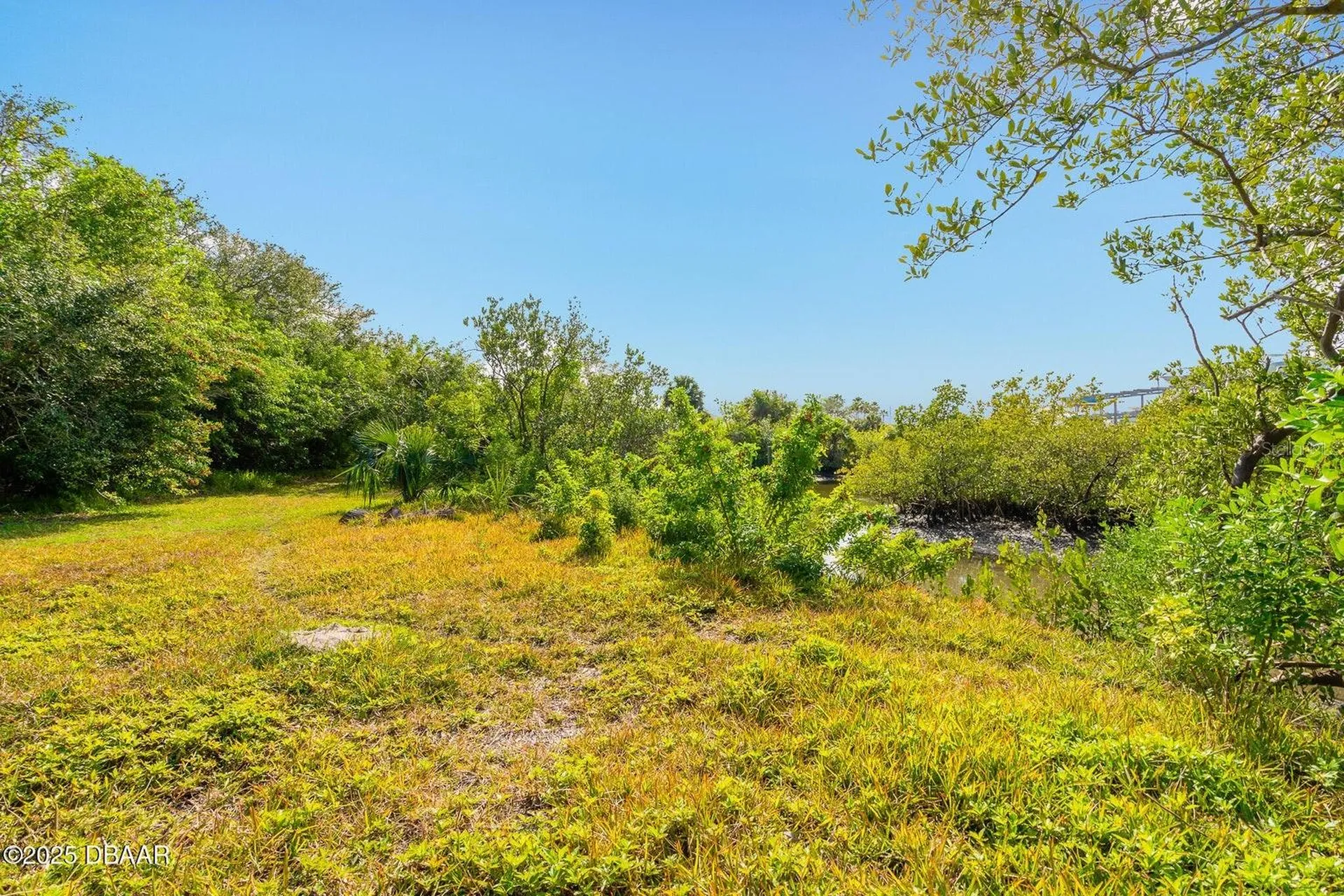 4770 S Peninsula Drive Ponce Inlet FL 32127