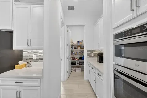 17316 Scuba Crest Street Wimauma FL 33598