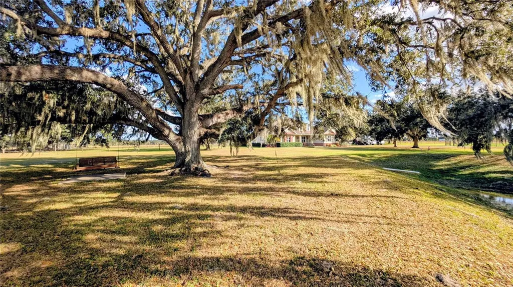 7053 George Marsh Road Zolfo Springs FL 33890