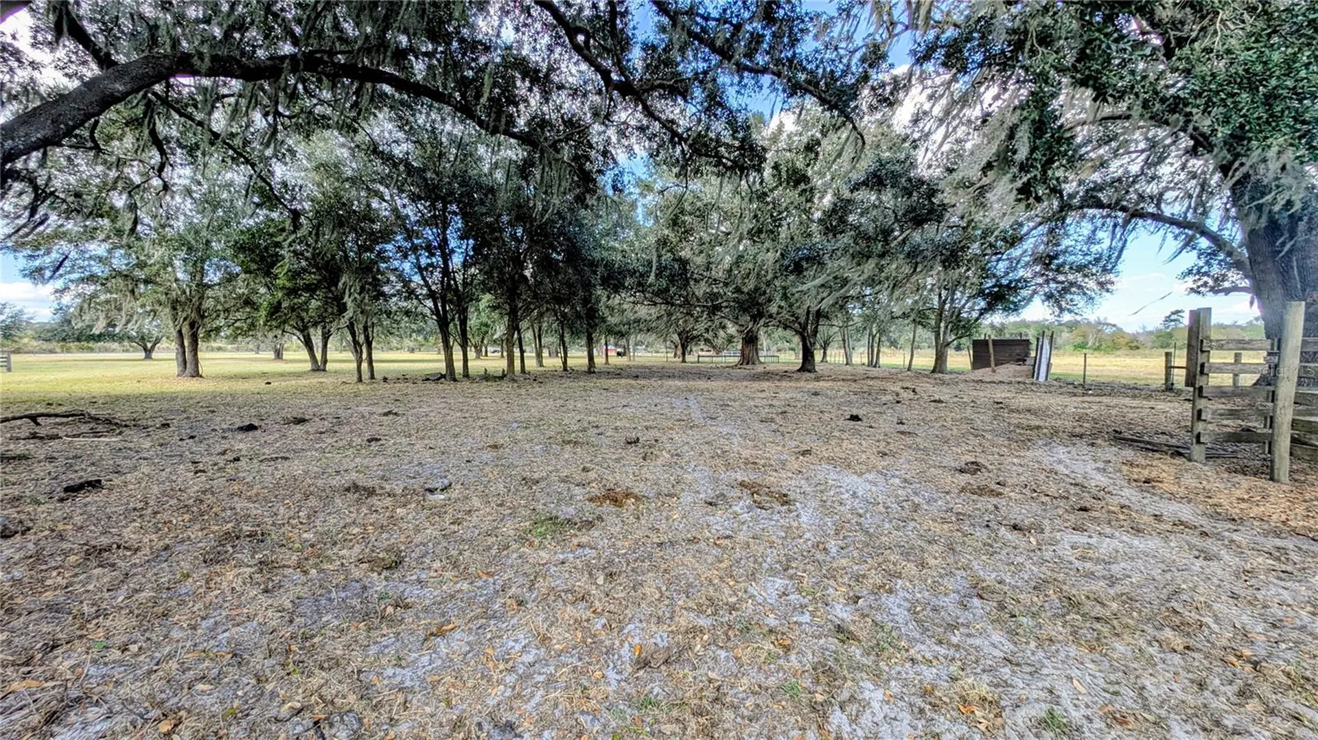 7053 George Marsh Road Zolfo Springs FL 33890