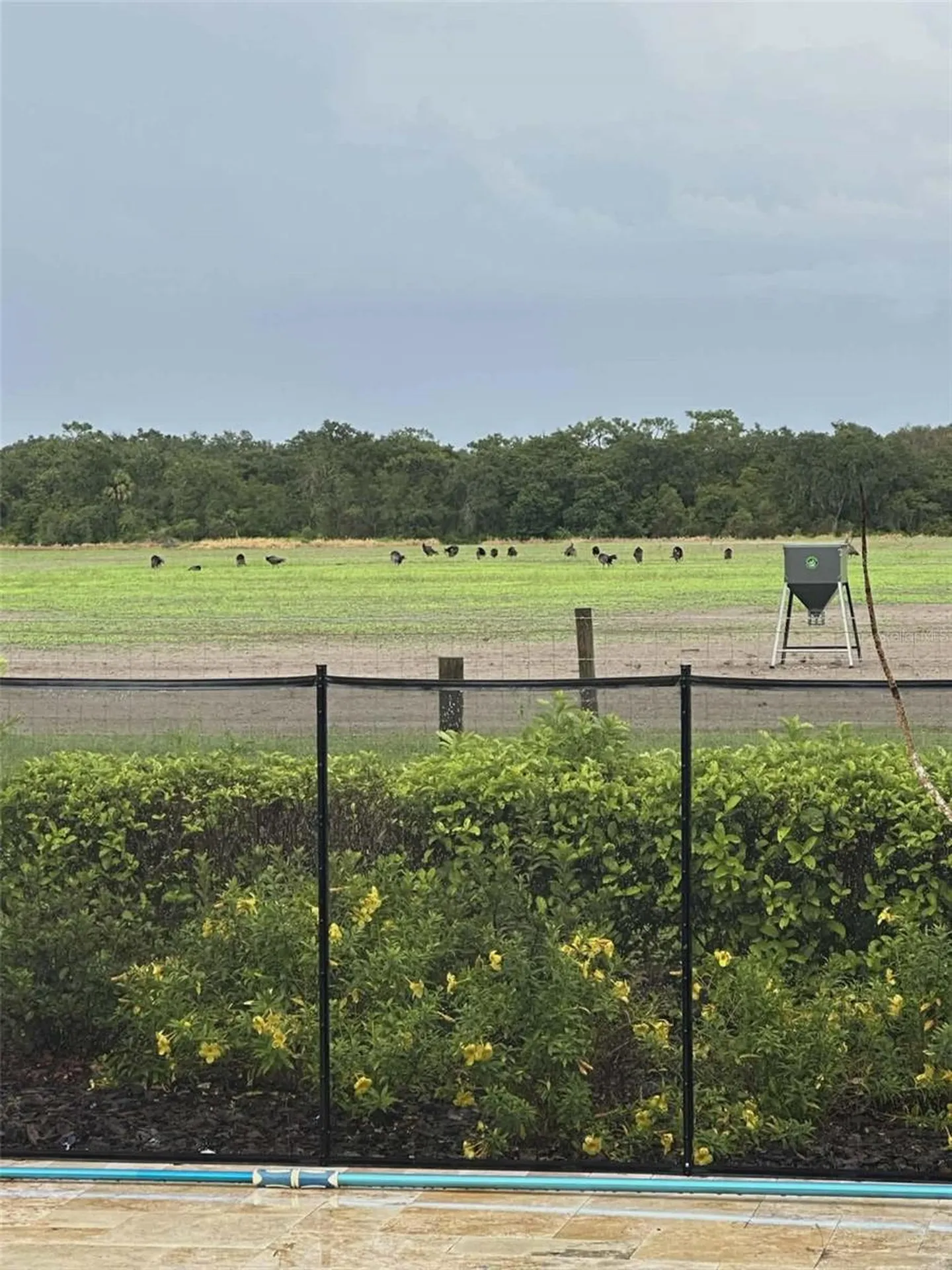 7053 George Marsh Road Zolfo Springs FL 33890