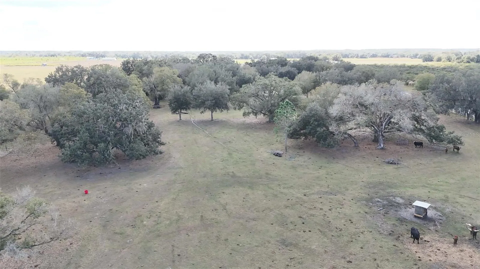 7053 George Marsh Road Zolfo Springs FL 33890